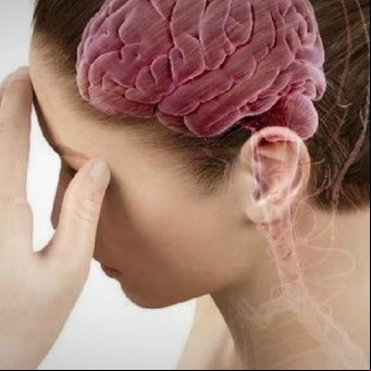 Cuál es la poderosa verdura antioxidante que reduce el riesgo de un accidente cerebrovascular