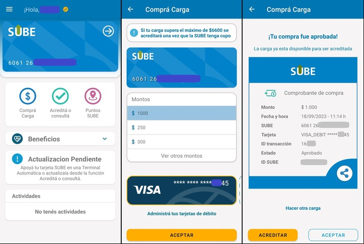 El proceso de compra, tal como se ve en la pantalla. Imagen: Captura.