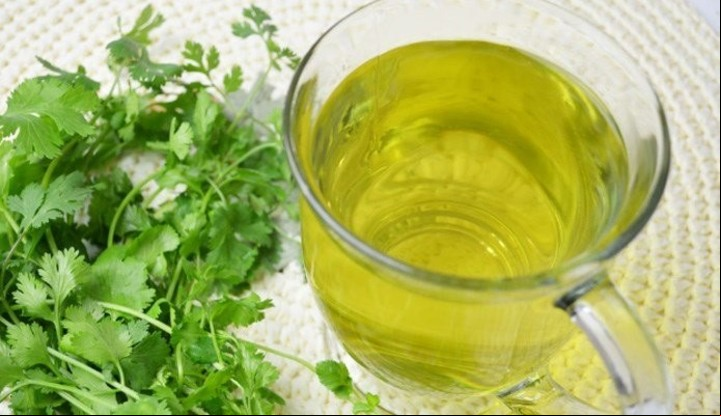 Las hojas de cilantro pueden utilizarse en infusiones.