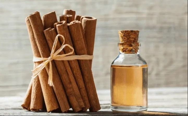 Aceite esencial de canela, y todas sus propiedades.