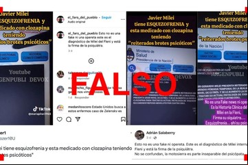 Es falso el video que muestra la historia clínica de Javier Milei en una web del Ministerio de Salud
