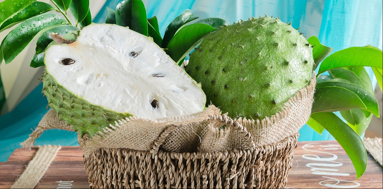 Guanábana. Se consume fresca, en batidos y en jugos. Con sus hojas se preparan tés. Foto: Shutterstock.