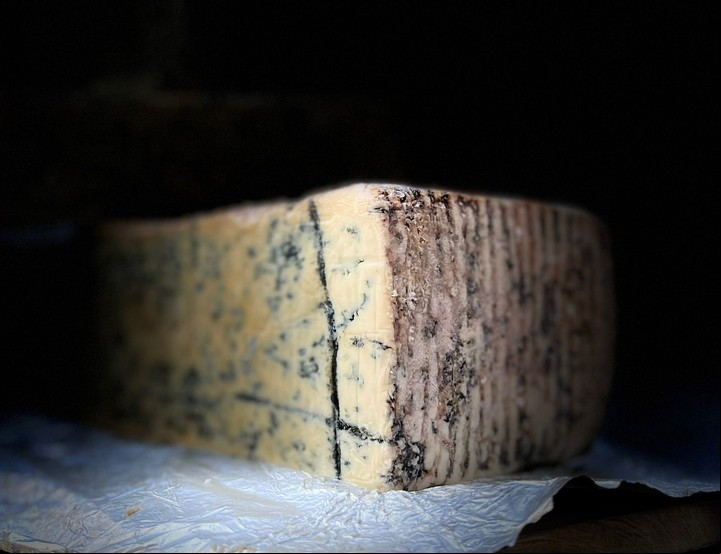 Quadratto Blue, una variedad de Toro Azul. Foto Toro Azul