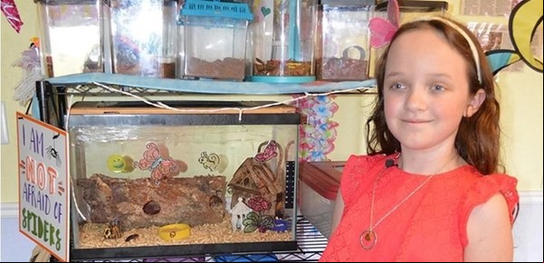 Una chica colecciona más de 4.000 cucarachas vivas en su casa