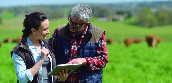 Cuál es el verdadero problema de comunicación en empresas familiares del agro