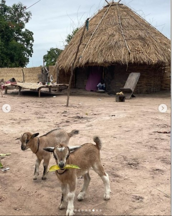 Las fotos que Úrsula Corberó compartió de su viaje a Senegal. Instagram.
