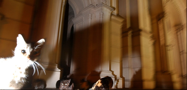 ¿Espíritus? ¿Fantasmas? Mucha gente oye voces de alguien que no está