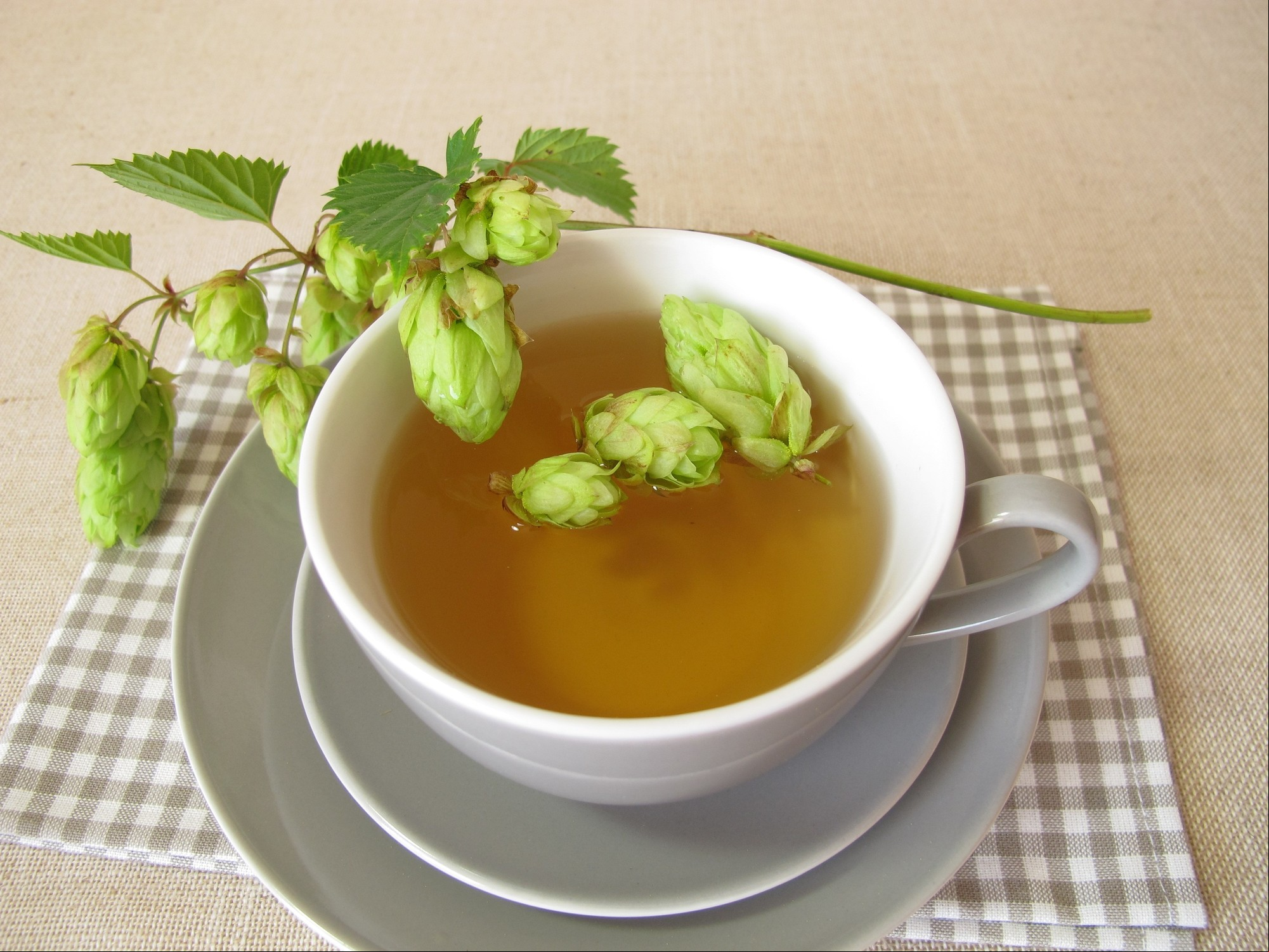 Té para relajarse. Foto: Shutterstock