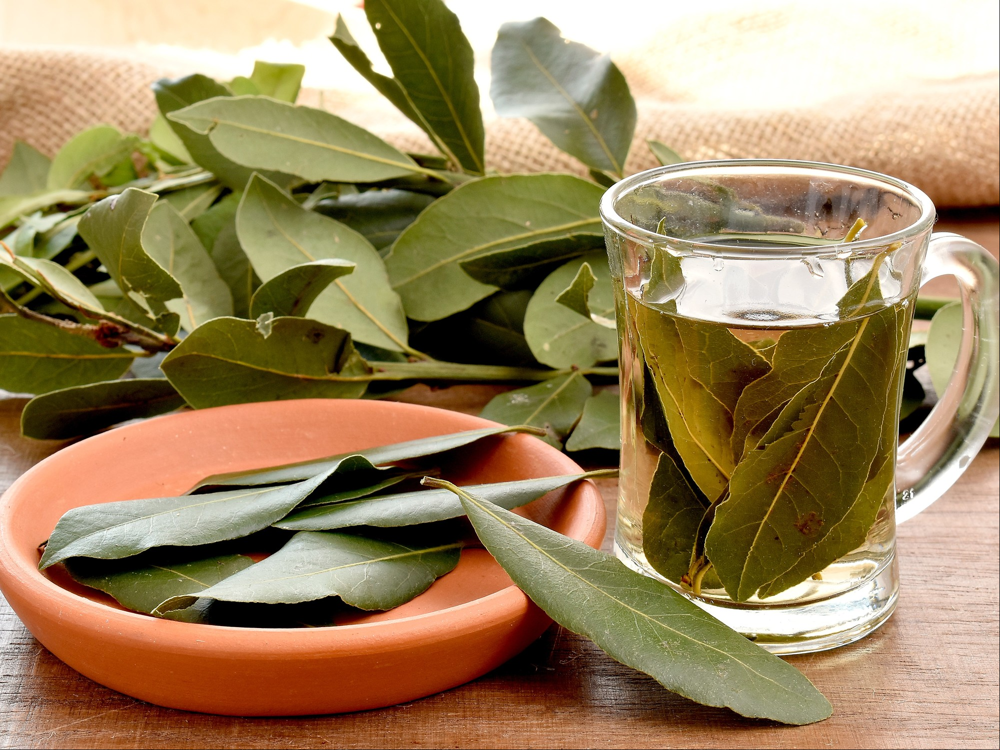 Qué efecto tiene en el cuerpo tomar té de hojas de laurel a diario