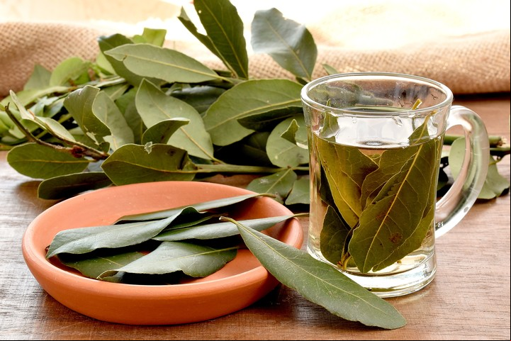 Cómo tener un un lavarropas limpio y desodorizado con planta de laurel. Foto: Shutterstock.
