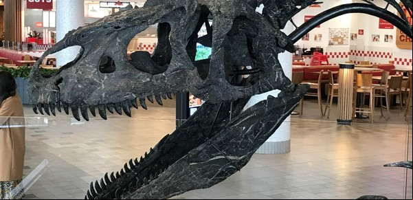 El mercado de dinosaurios
