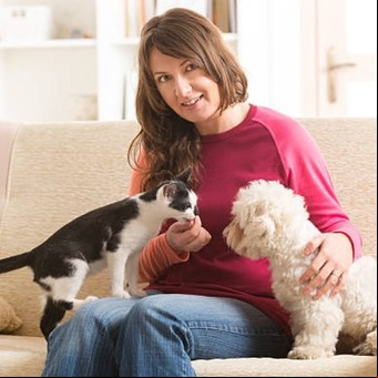 Cuál es el sencillo remedio casero para eliminar el olor a orina de perro o gato 