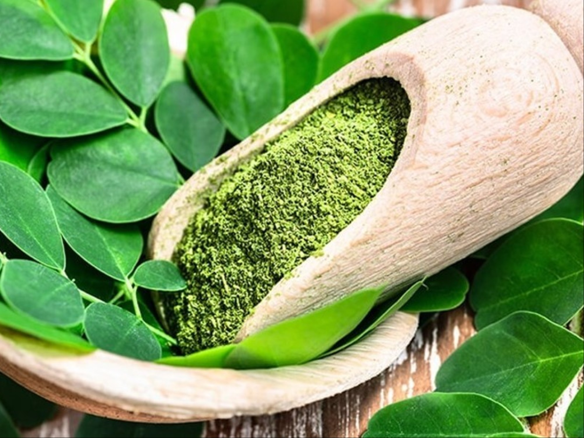 Cuántas veces al día tomar semillas de moringa: para qué sirve y contraindicaciones
