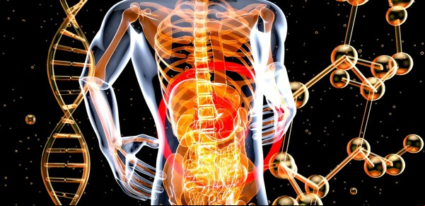 ¿Cómo saber si mi cuerpo necesita probióticos?