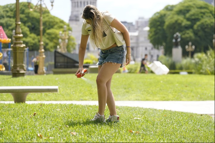 Después de enero, hubo una nueva invasión de mosquitos. Foto: Fernando de la Orden