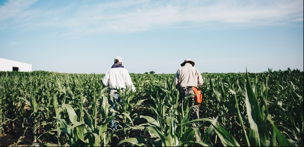 La revolución del campo llegó a Expoagro 2024