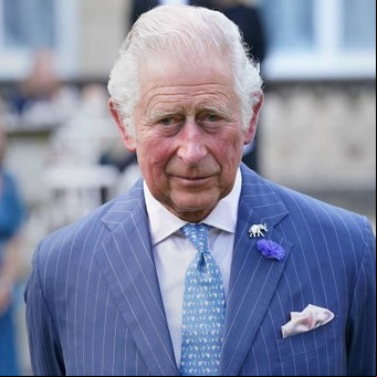 Cuántos nietos tiene el rey Carlos III y cómo es la línea de sucesión 