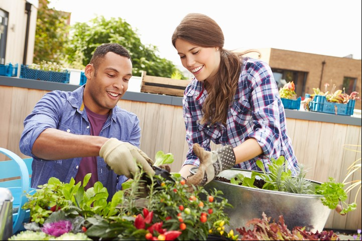 Tomates Cherry y ajíes pequeños en la huerta urbana. Foto ilustración Shutterstock.