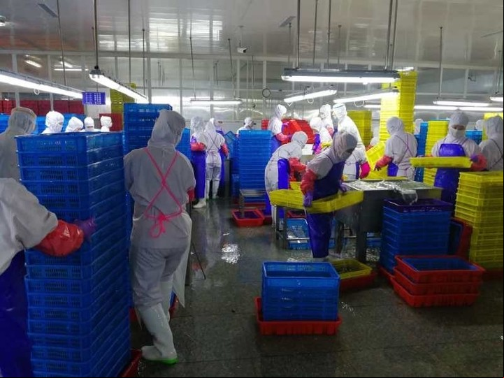 Los trabajadores clasifican mariscos en Dandong Taifeng. Foto: The Outlaw Ocean Project, finales de 2023