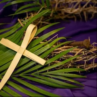 Domingo de Ramos: qué se hace con la palma o rama de olivo bendito después de la misa del 24 de marzo