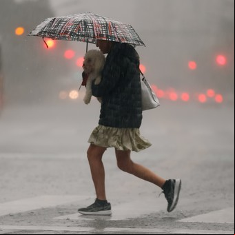 Calor extremo en Buenos Aires: qué día baja la temperatura tras los 40 grados