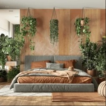 ¿Es bueno dormir con plantas en la habitación?