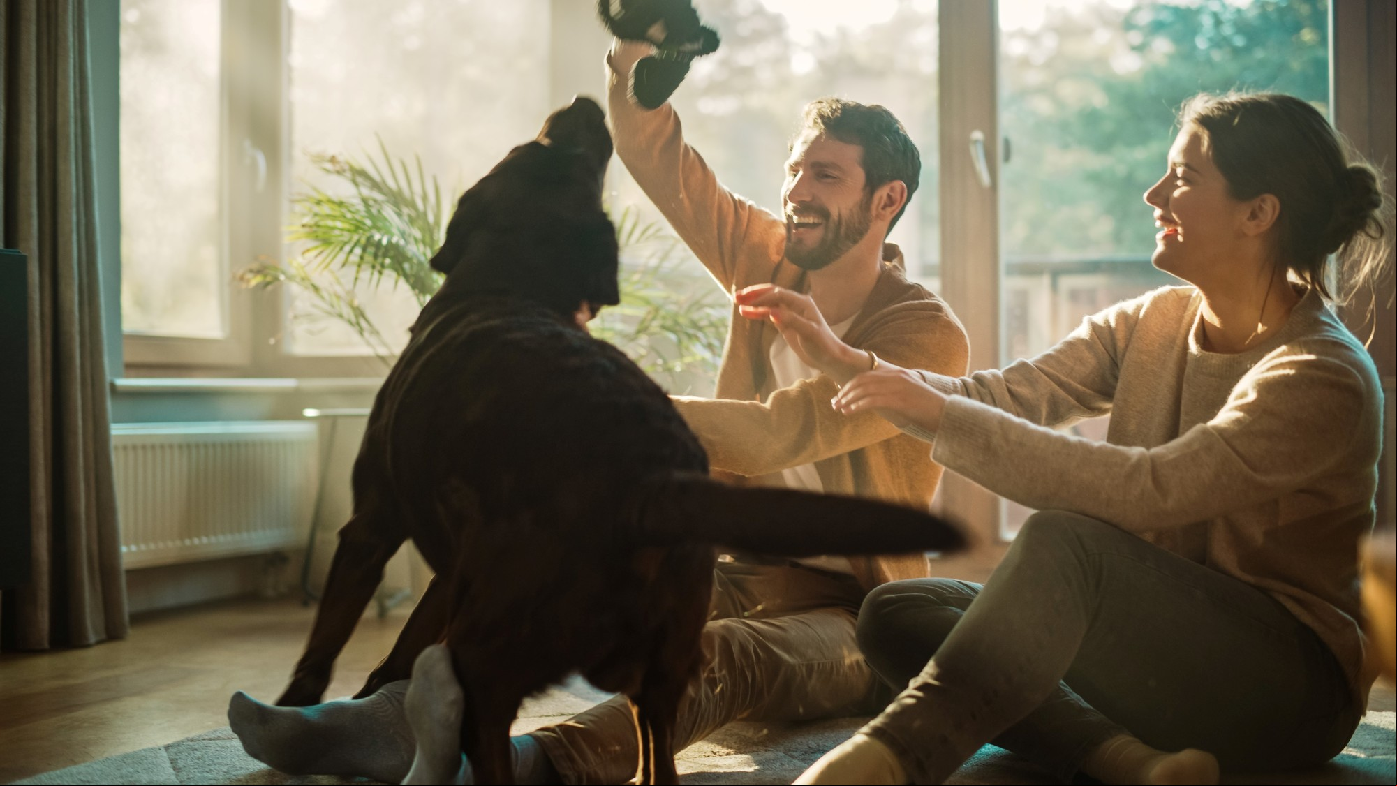 El anual 6 prioriza el hogar y la familia. Foto: ilustración Shutterstock