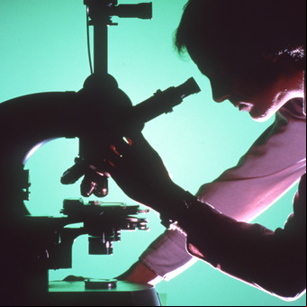Ciencia argentina en jaque: cinco proyectos clave frenados por la falta de recursos para investigar