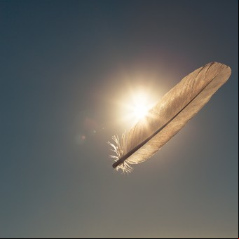 ¿Encontraste plumas en tu hogar?: el mensaje espiritual que revelan los ángeles