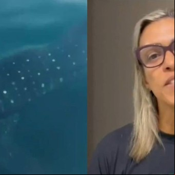 Impactante video: un tiburón ballena sorprendió a una nadadora en Brasil