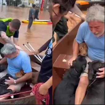 El emotivo reencuentro de un hombre con sus cuatro perros en medio de las inundaciones en Brasil