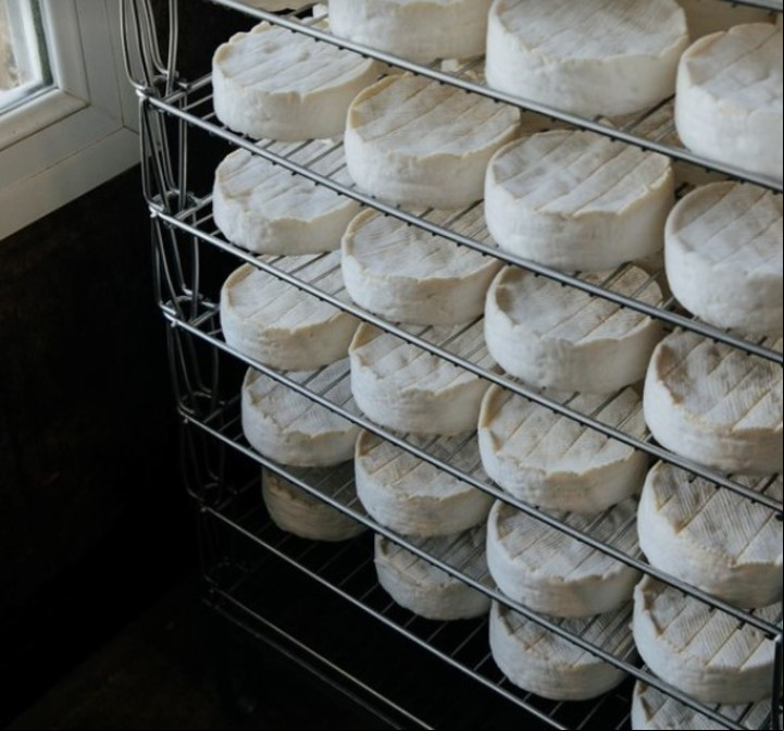 El queso Camembert, un "primo" del queso Brie.