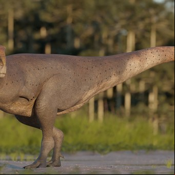 Hallaron los restos de un dinosaurio carnívoro que vivió en la Patagonia hace 69 millones de años