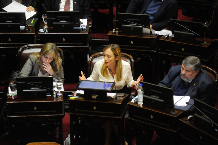 Juliana Di Tullio, Anabel Fernández Sagasti y José Mayans, referentes de Unión por la Patria, en una sesión en el Senado.
Foto: Federico López Claro.