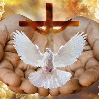 ¿Cómo se manifiesta el Espíritu Santo en una persona, según la religión católica?
