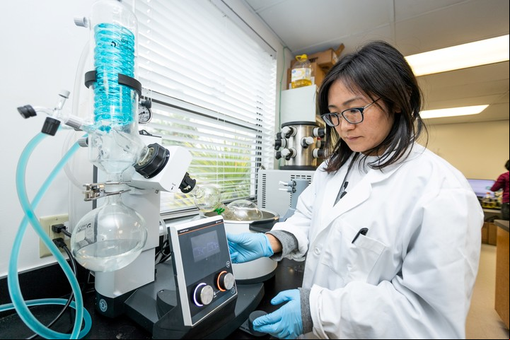 Yu Wang, profesora asociada de ciencias de los alimentos en UF/IFAS Citrus Research y el Centro de Educación de la Universidad de Florida. Foto: EFE