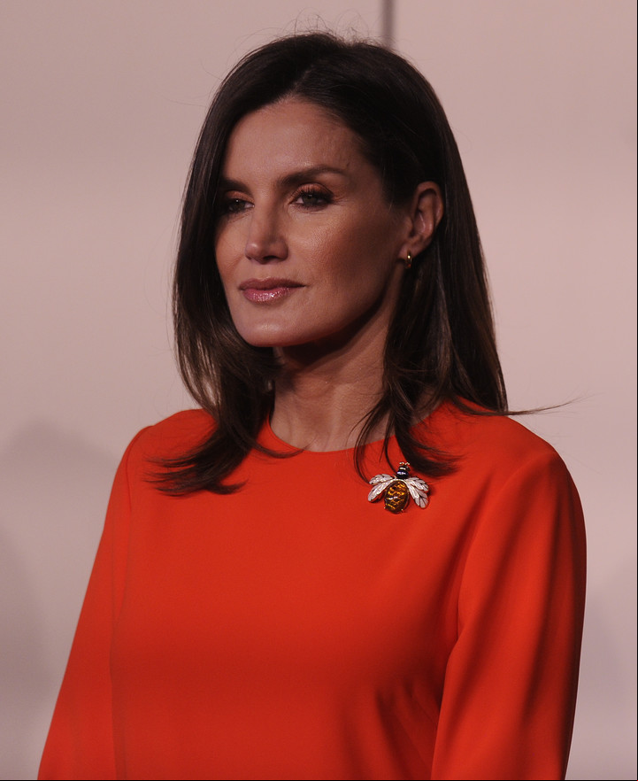 La reina Letizia, de España, durante una visita a la Argentina. Foto: Juano Tesone
