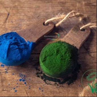 Qué diferencia hay entre la espirulina azul y la espirulina verde        
