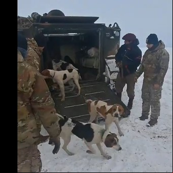 El Ejército rescató a un peón y sus 13 perros de una cabaña en Santa Cruz aislada desde hace un mes por la nieve