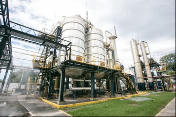 Biocombustibles: los productores de alcohol de caña de azúcar piden actualizar los precios