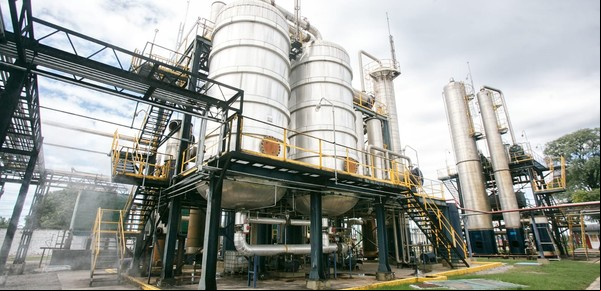 Biocombustibles: los productores de alcohol de caña de azúcar piden actualizar los precios