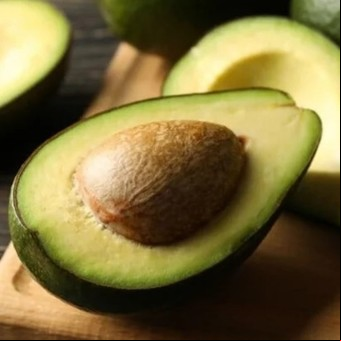 Cómo reproducir una planta de palta por esquejes y cosechar frutos más rápido que con la semilla