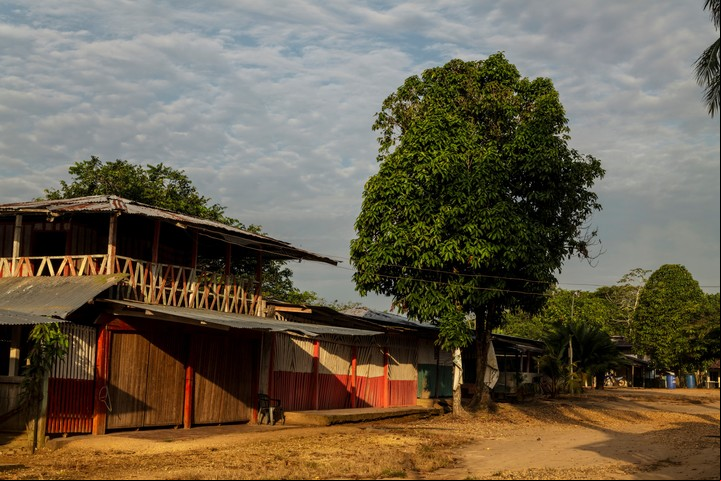 Las calles de Nueva Colombia, una ciudad que antaño bullía gracias a la economía de la coca. Con la caída en picado de las ventas de coca, gran parte de la población ha abandonado la ciudad. Foto Federico Ríos para The New York Times