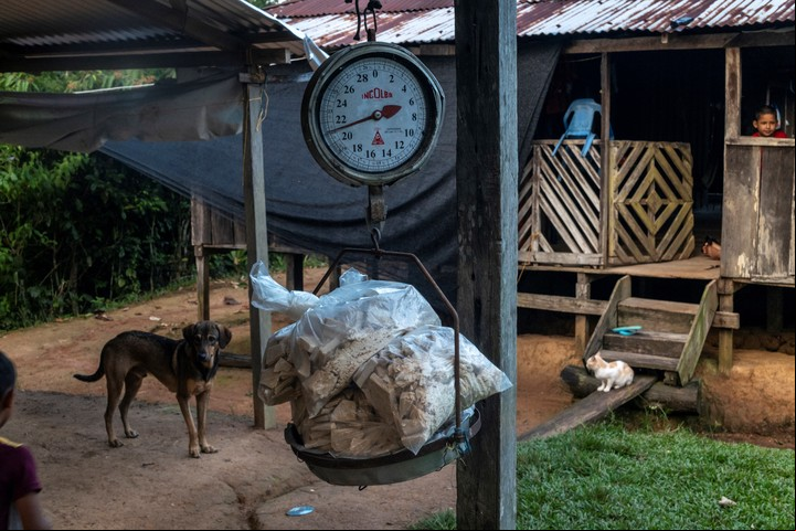 Varias libras de pasta de coca acumuladas por campesinos de Caño Cabra y sus alrededores que no pueden vender el producto debido a los cambios en el mercado de la coca. Foto Federico Ríos para The New York Times