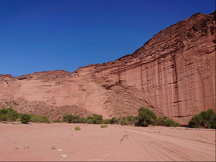 El Parque Nacional Talampaya alberga una amplia gama de antepasados. Foto: pexels.