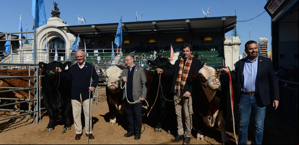 Con nuevo entusiasmo, la ganadería top vuelve a mostrarse y confía en el despegue ganadero