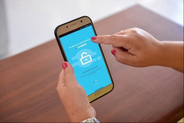 Podés entrar a la ANSeS a través de la app "MiANSeS". Foto: ANSeS.