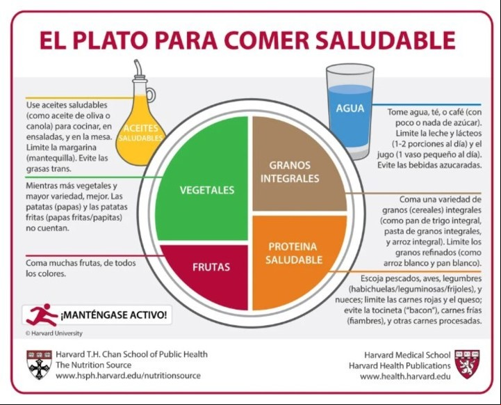 Plato para comer saludable de la Universidad de Harvard.