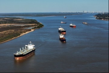 La agroindustria aportó el 92% de las divisas netas de la economía argentina en los últimos cinco años 
