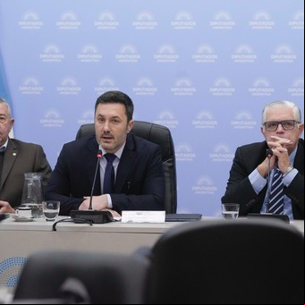 En un duro debate y sin apoyo de diputados oficialistas, Petri defendió la participación de las FF.AA. en la lucha contra el terrorismo